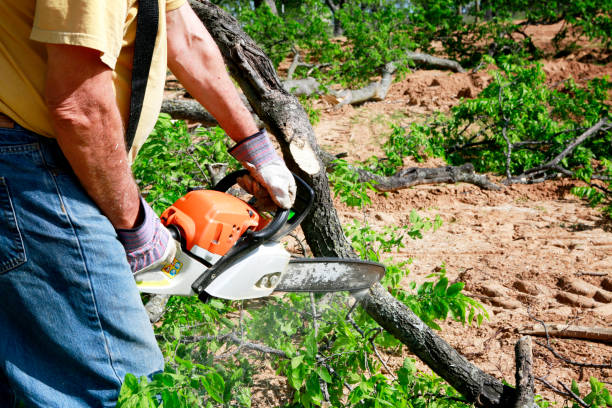 Best Commercial Tree Services  in Grand Ronde, OR